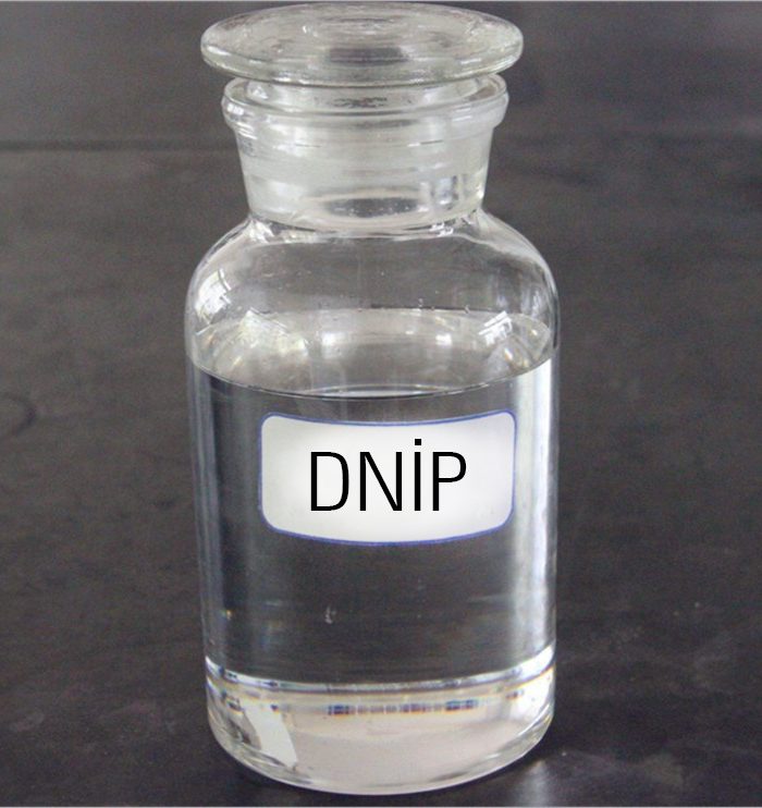DNİP